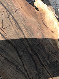 English Walnut